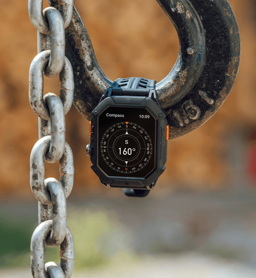 Altimeter & compass